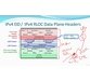 فیلم یادگیری ABC of Cisco DNAC Automation & LISP for SD-Access & VxLAN 2