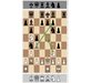 درس های ابتدایی شطرنج با مایک ایوانوف 1