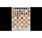 درس های ابتدایی شطرنج با مایک ایوانوف 5