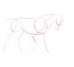 آموزش طراحی و نقاشی آناتومی حیوانات 2