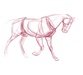 آموزش طراحی و نقاشی آناتومی حیوانات 3