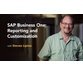 آموزش سفارشی سازی و گزارش گیری در SAP Business One 1