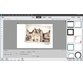 آموزش جامع Photoshop Elements 13 5