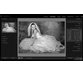آموزش بهبود عکس های سیاه و سفید عروسی بوسیله Lightroom 1