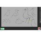 آموزش زدن طرح سیاه قلم کاراکترهای کارتونی پرندگان 6