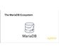 دوره یادگیری کامل اکوسیستم MariaDB 1