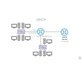 آموزش پیاده سازی پروتکل های لایه Application در شبکه های سیسکو 2