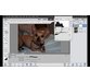 آموزش ادیت ، رتوش و بهبود عکس ها با Adobe Photoshop Elements 2