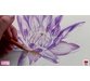 آموزش تکنیک های نقاشی گل و گیاهان با مداد رنگی 1