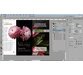 فیلم یادگیری کامل Adobe Color 5