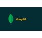 آموزش توسعه وب سرویس های Restful بوسیله NestJS, MongoDB 2