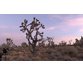 آموزش عکاسی از زیبایی های شب و روز بیابان و صحرا 4