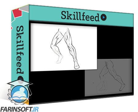 آموزش طراحی و نقاشی داینامیک عضلات پا