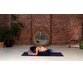 آموزش تمرین های تنفسی یوگا برای قلب تان 4