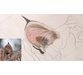 آموزش نقاشی حیوانات وحشی بوسیله مداد رنگی 1