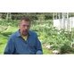 آموزش ساخت باغ های لایه لایه با رشد دادن لایه لایه گیاهان 1