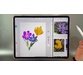 آموزش نقاشی آبرنگ با براشهای Adobe Fresco 1