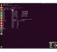 دوره یادگیری کامل x86 Assembly Language and Shellcoding on Linux 4