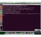 دوره یادگیری کامل x86 Assembly Language and Shellcoding on Linux 6