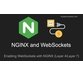ساخت پروژه های بزرگ بوسیله WebSockets, NGINX 6