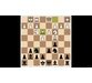 درس های شطرنج پیشرفته با FM مایک ایوانوف 1