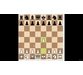 درس های شطرنج پیشرفته با FM مایک ایوانوف 6